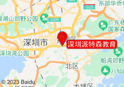 深圳派特森教育