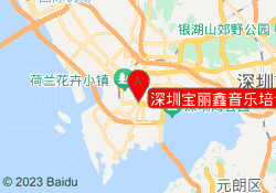 深圳宝丽鑫音乐培训
