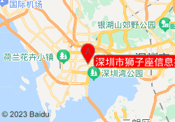 深圳市狮子座信息技术
