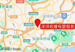深圳名媛母婴服务
