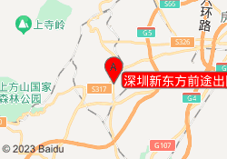 深圳新东方前途出国