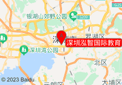 深圳泓智国际教育