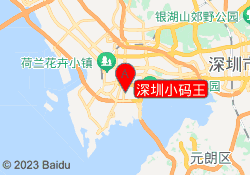 深圳小码王