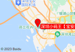 深圳小码王【宝安校区】