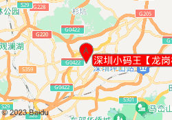深圳小码王【龙岗校区】