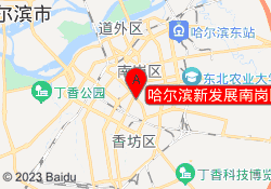 哈尔滨新发展南岗区分校