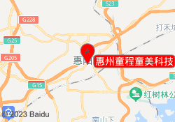 惠州童程童美科技