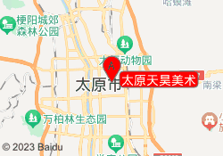 太原天昊美术