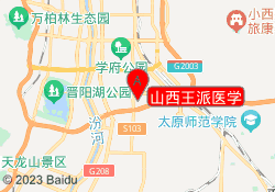 山西王派医学