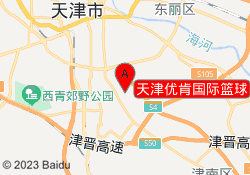 天津优肯国际篮球