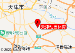 天津动因体育