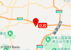 总校