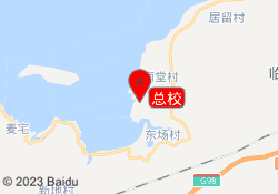 总校