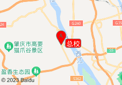 总校