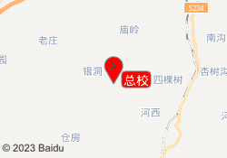 总校