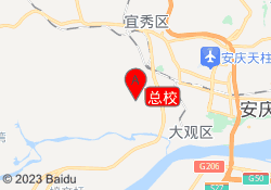 总校