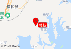 总校