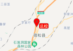 总校