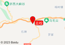 总校