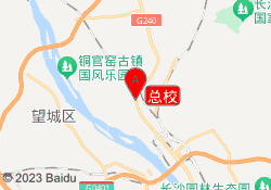 总校