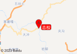 总校