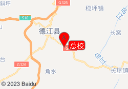 总校