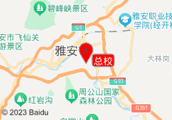 总校