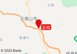 总校