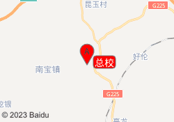 总校