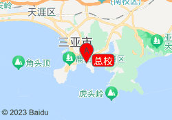 总校