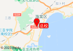 总校
