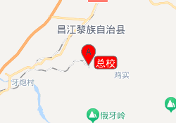 总校