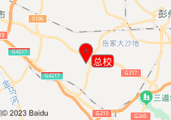 总校