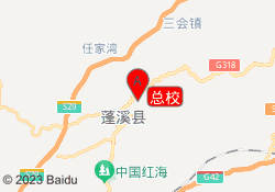 总校