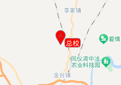总校