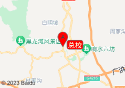 总校