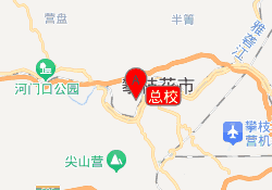 总校