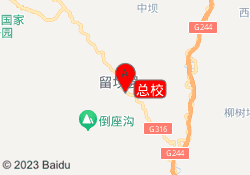 总校