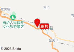 总校
