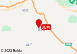 总校