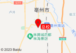 总校