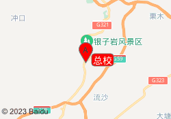 总校