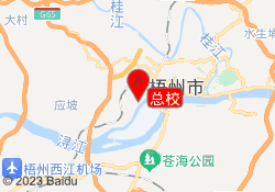 总校
