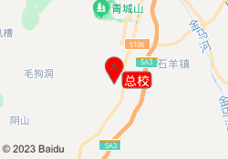 总校