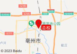 总校