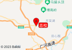 总校