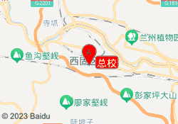 总校