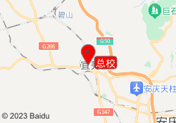 总校