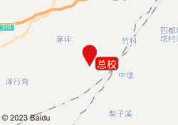 总校
