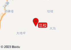 总校
